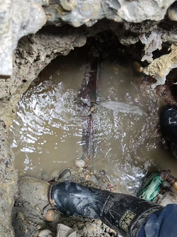 嘉兴本地服务：小区水管漏水检测维修
